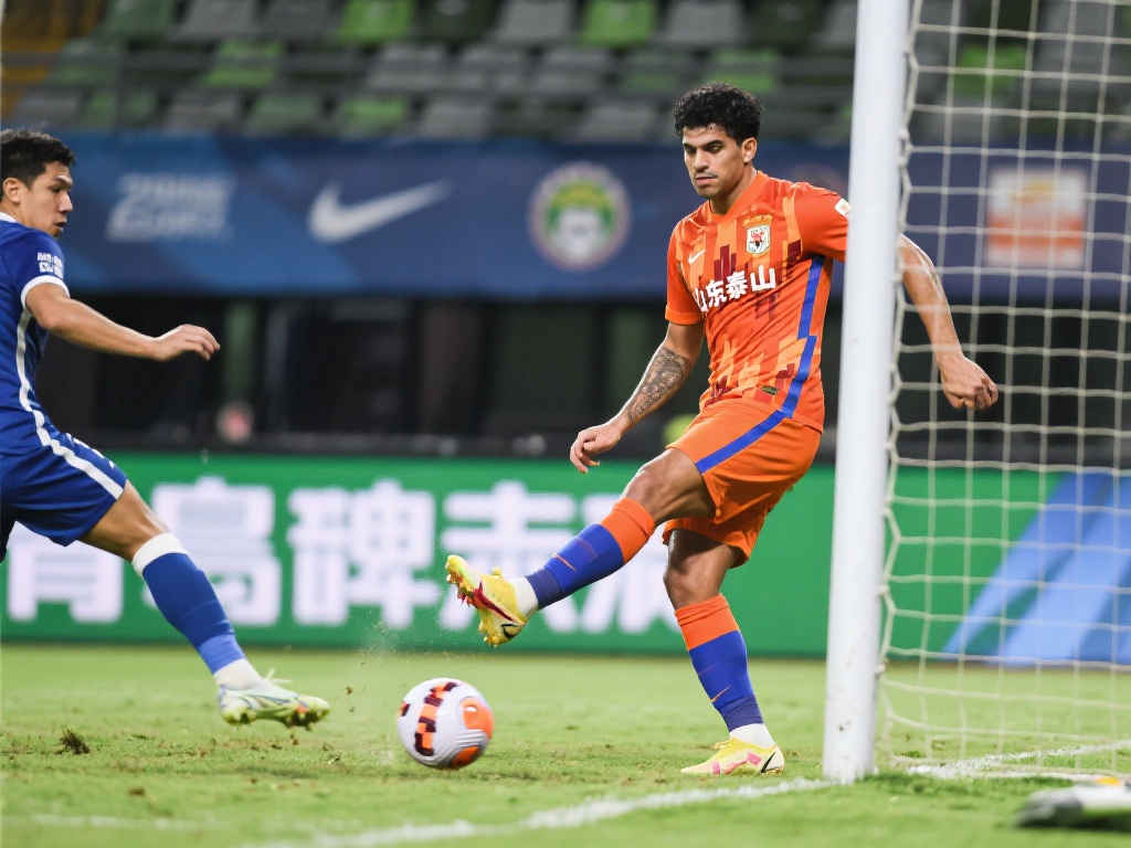 争光添彩 争光添彩